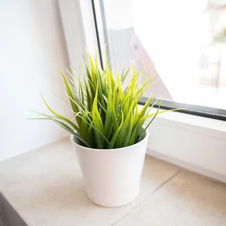 Alan ゲストハウス クリニツァ・モルスカ