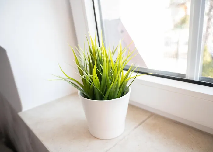 Alan Maison d'hôtes Krynica Morska