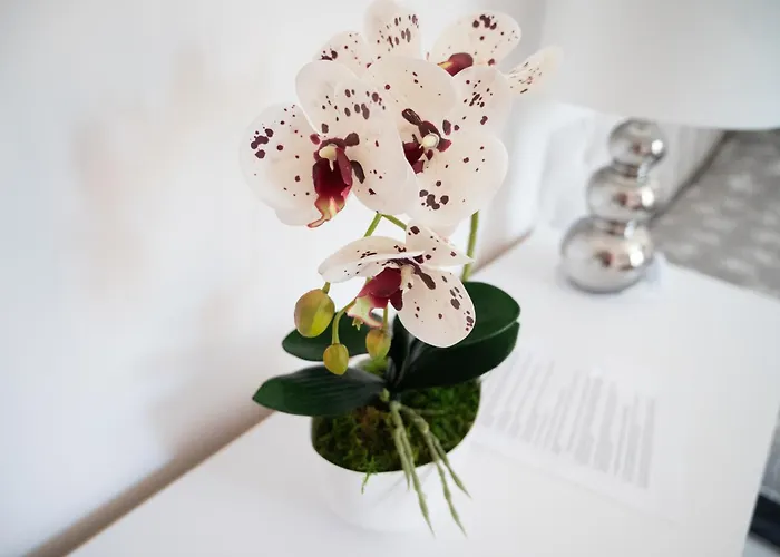 Maison d'hôtes Alan 3*